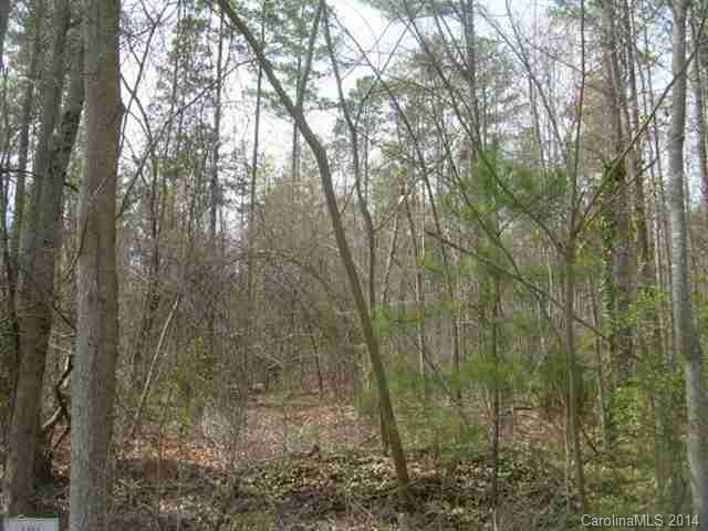 Build your dream home on this waterview lot in The Coves on River Oaks, a low density, upscale community in Lake Wylie. Experience the feeling of a truly rural community, but one that is just minutes away from dining, shopping and other great amenities. Clover schools and low SC taxes.