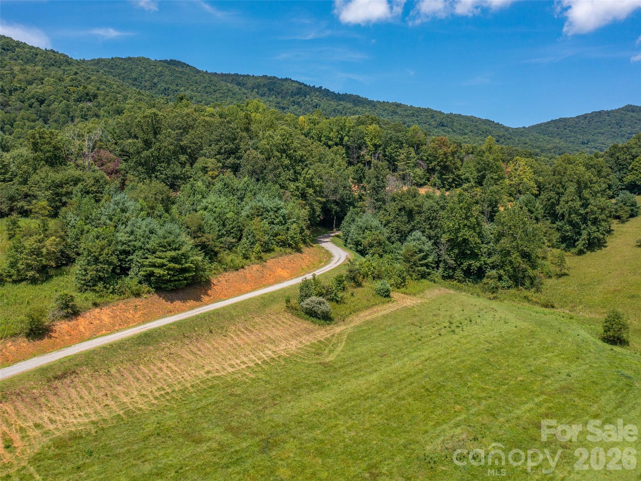 Locust Rough Mountain - Land