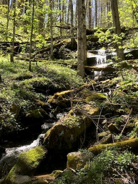 Cataloochee Mountain Estates - Land