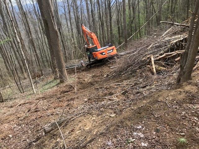 Cataloochee Mountain Estates - Land