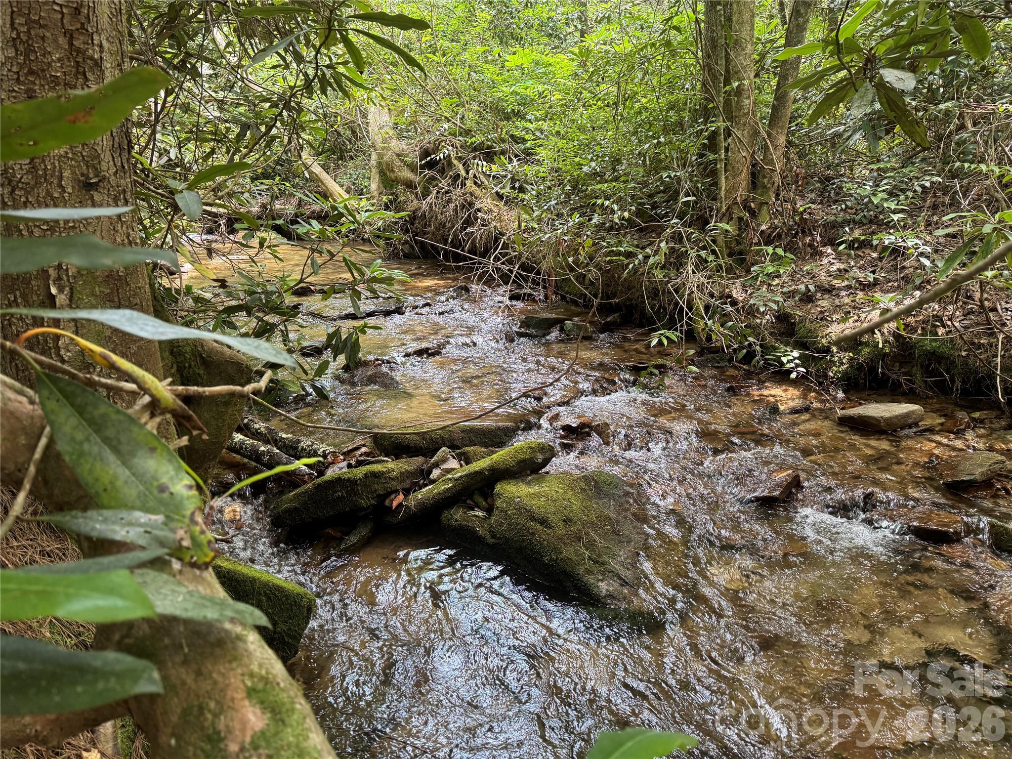 Located in the gated community of Round Mountain Falls, the highlight of this lot is the constant sound of a rushing stream running the length of the property.  Those seeking privacy will note that the lot is somewhat sheltered from other homes, as common area along Peppervine Circle forms the west boundary, while Abby Falls Road forms the east and north boundaries.

The POA manages to assure quality and consistent conditions of homes, roads, and appearances.