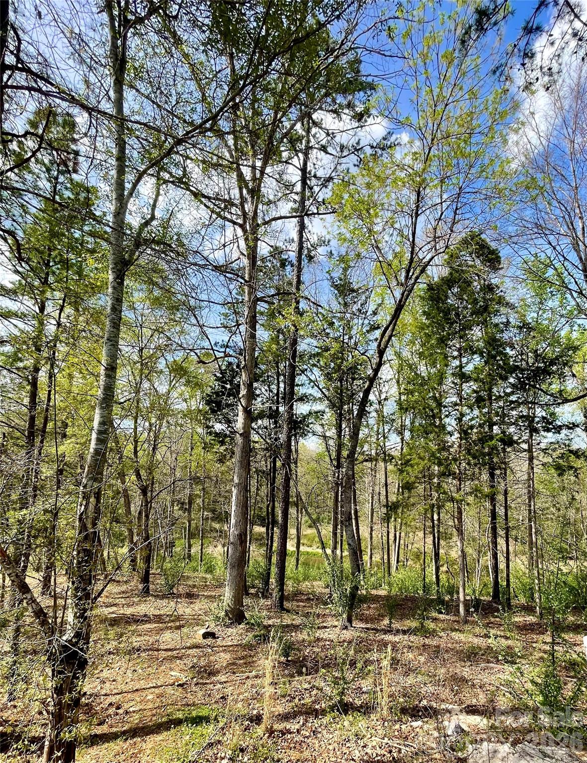Tealwood - Land