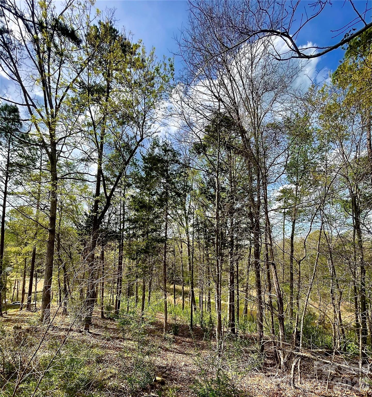 Tealwood - Land