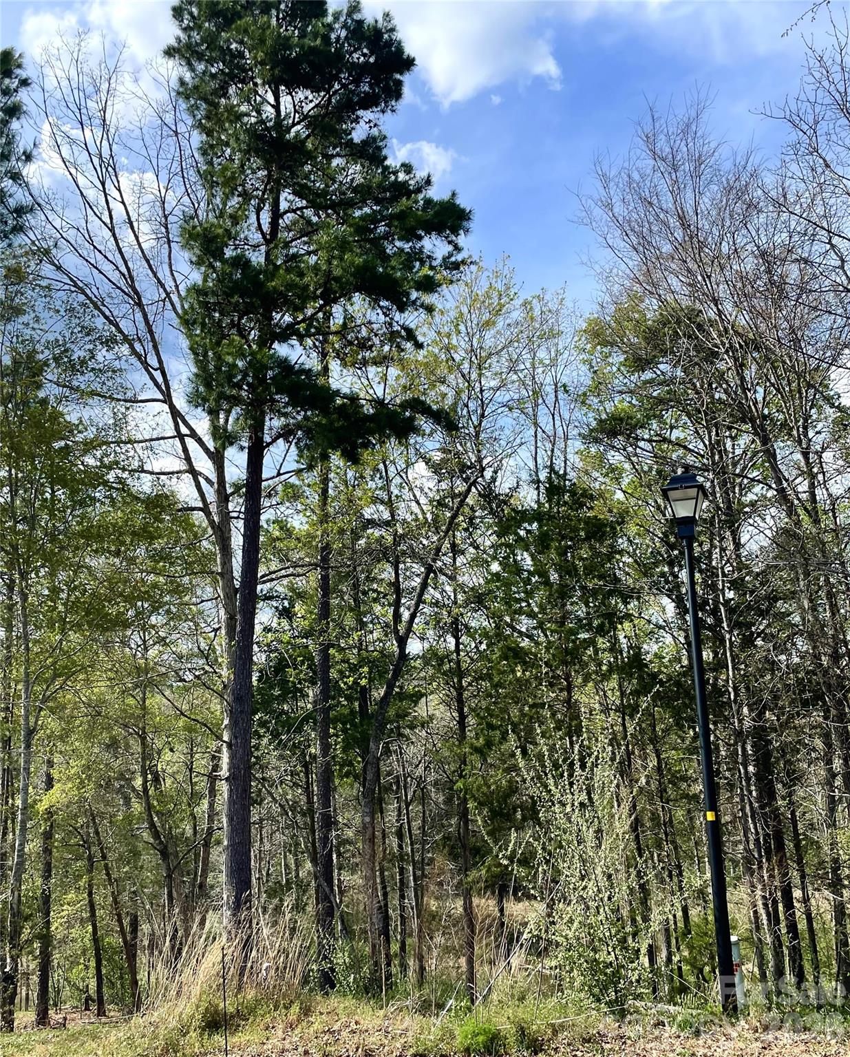 Tealwood - Land