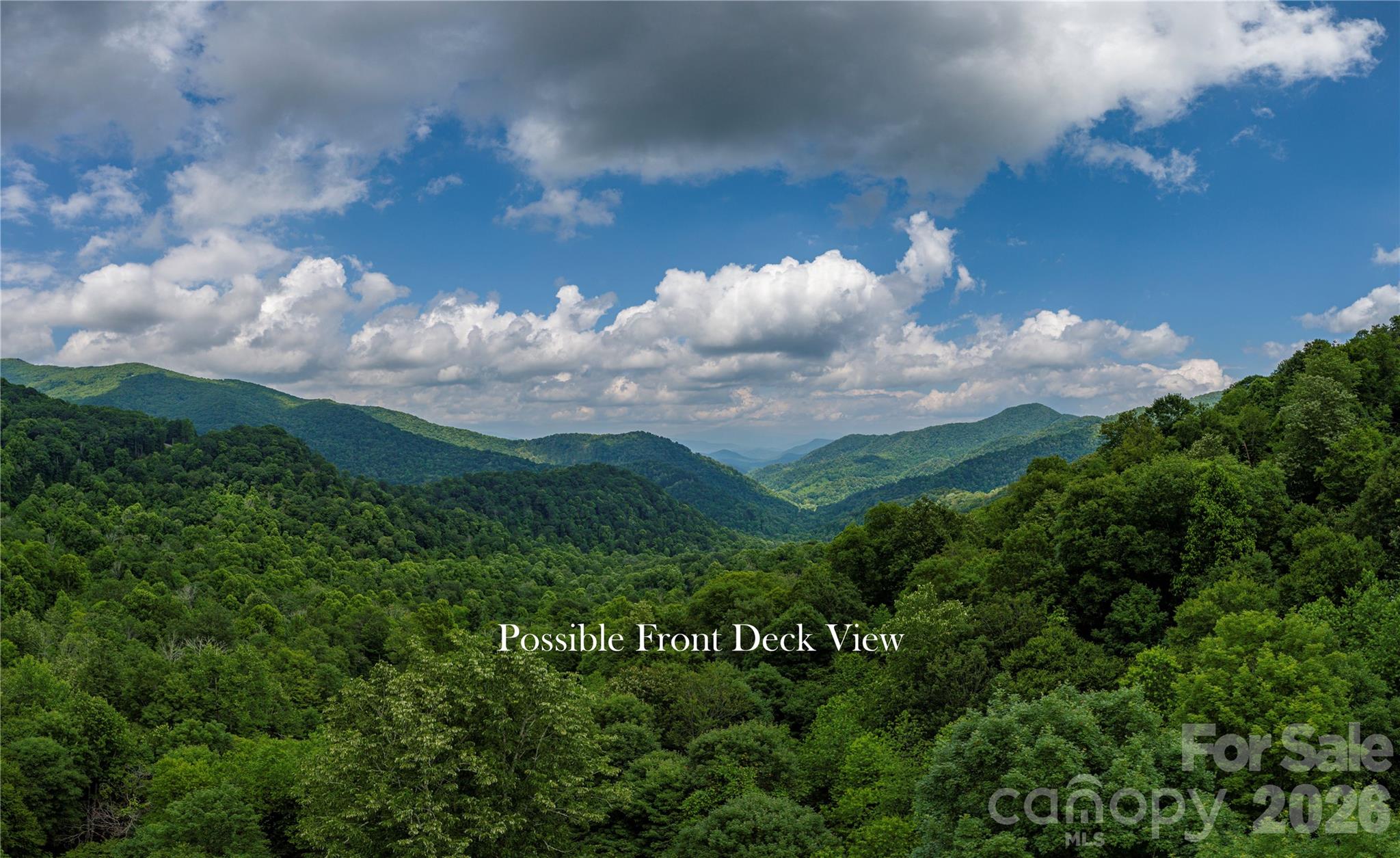 Motivated to sell! Don’t miss your chance to own one of the largest available lots in the beautiful Wolf Laurel Preserve. This 3.58-acre gem sits at approximately 4,000 feet, offering stunning sunrises and, with some clearing, long-range views of the Bald Mountains. This property is a nature lover's paradise with options for building, a picturesque creek & beautiful rock outcroppings. Previous perc test in attachments. The Wolf Laurel Preserve is a gated community that offers optional membership to the Wolf Laurel Country Club, one of the highest golf courses east of the Mississippi. Enjoy fine dining, a fitness center, and more. Surrounded by hundreds of acres of conservation land, you’ll have endless opportunities for hiking and ATV trails at your back door. Just 40 minutes to Asheville, 45 to Johnson City, TN, and 20 to Burnsville.
