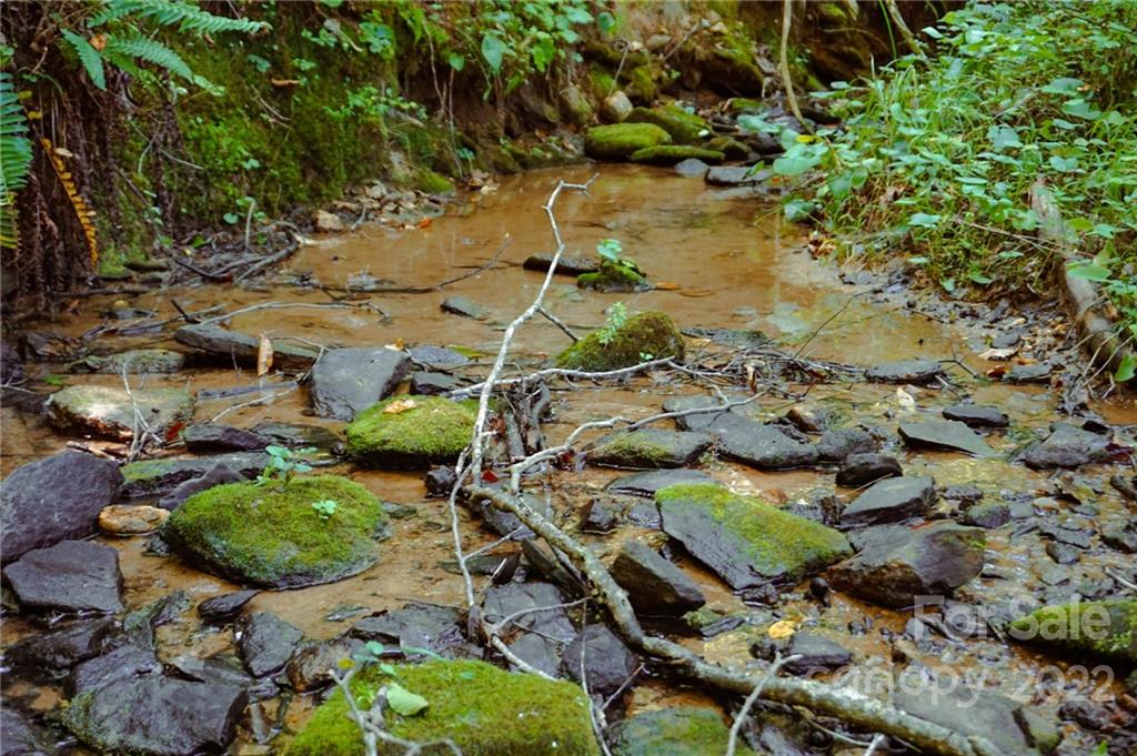 10+/- acres unrestricted in northern Rutherford County. Close access to Hwy 221 and Rutherford County Airport. Ashville, Charlotte, Greenville/Spartanburg, all in about 1 hour radius. Property is wooded and private. Ideal for a private estate or family compound. Land slopes gently from road. Union Mills area is know for gold mining. With a creek all along the back of the property, you never know what might pan out.