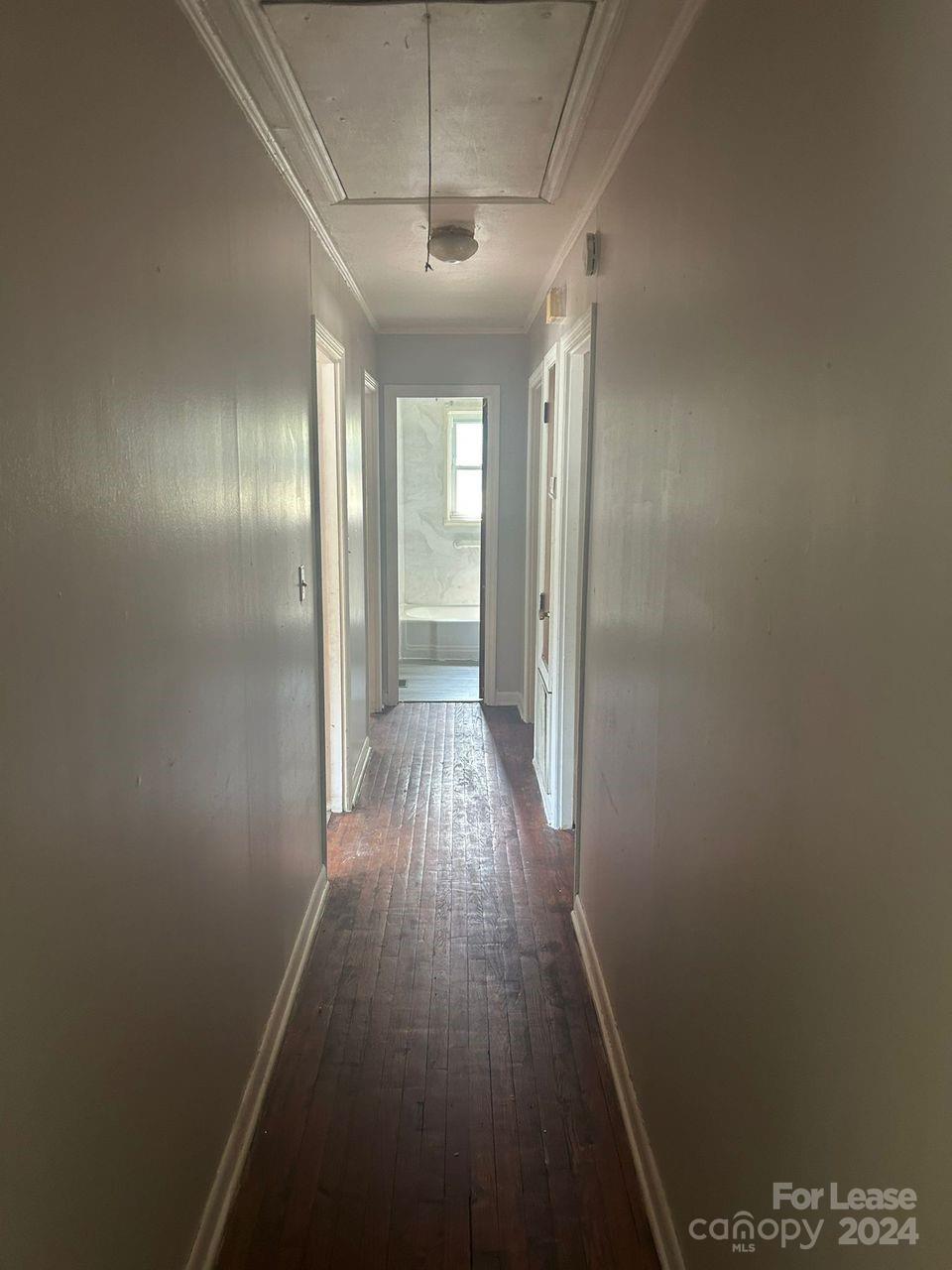None - Residential Lease