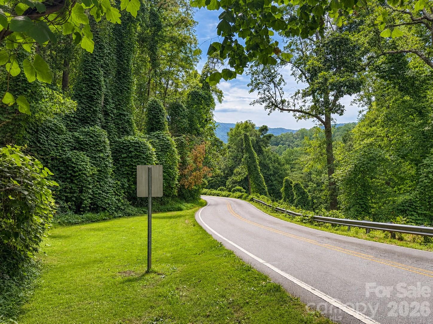 Rumbling Bald on Lake Lure - Land