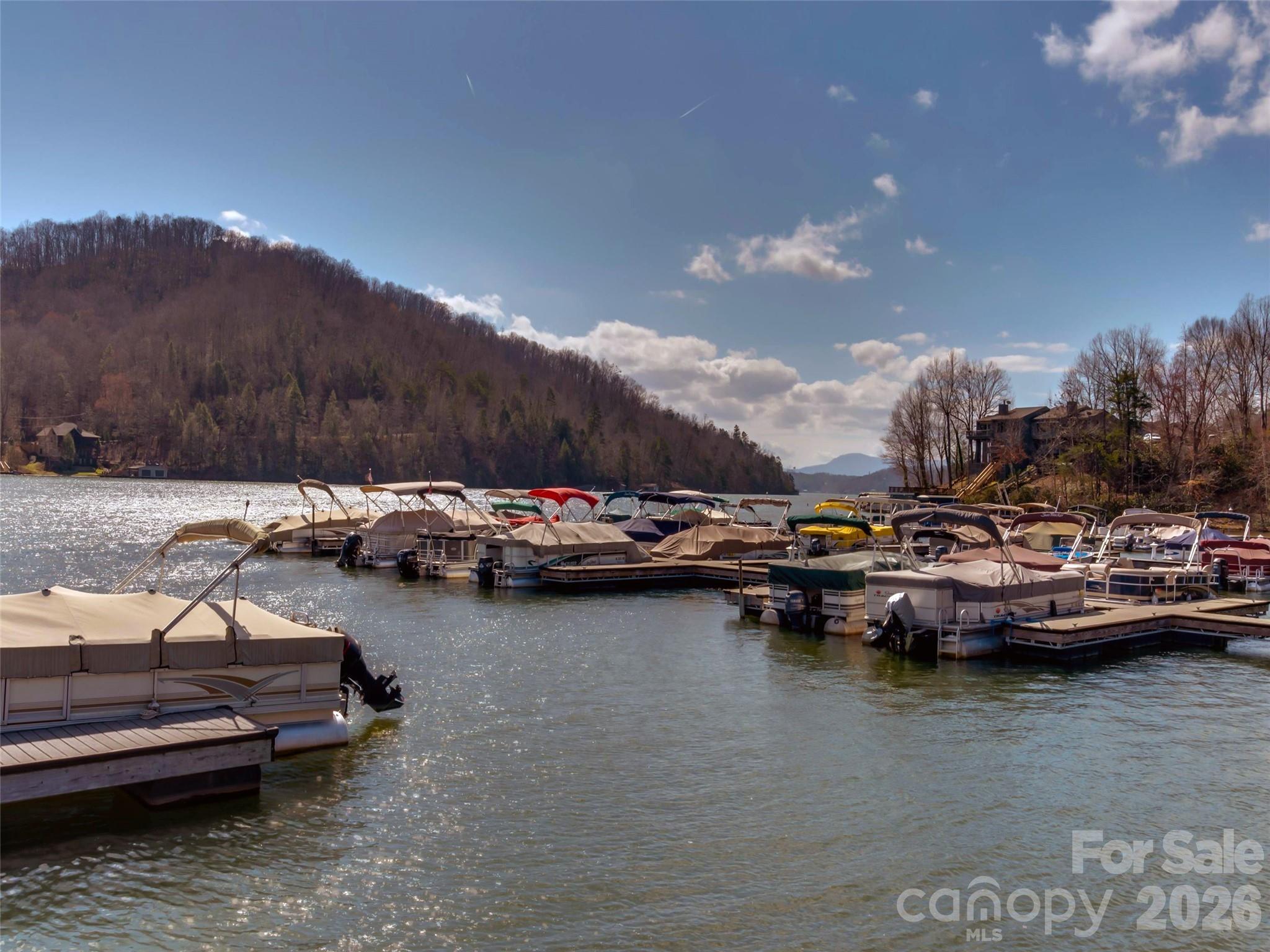 Rumbling Bald on Lake Lure - Land