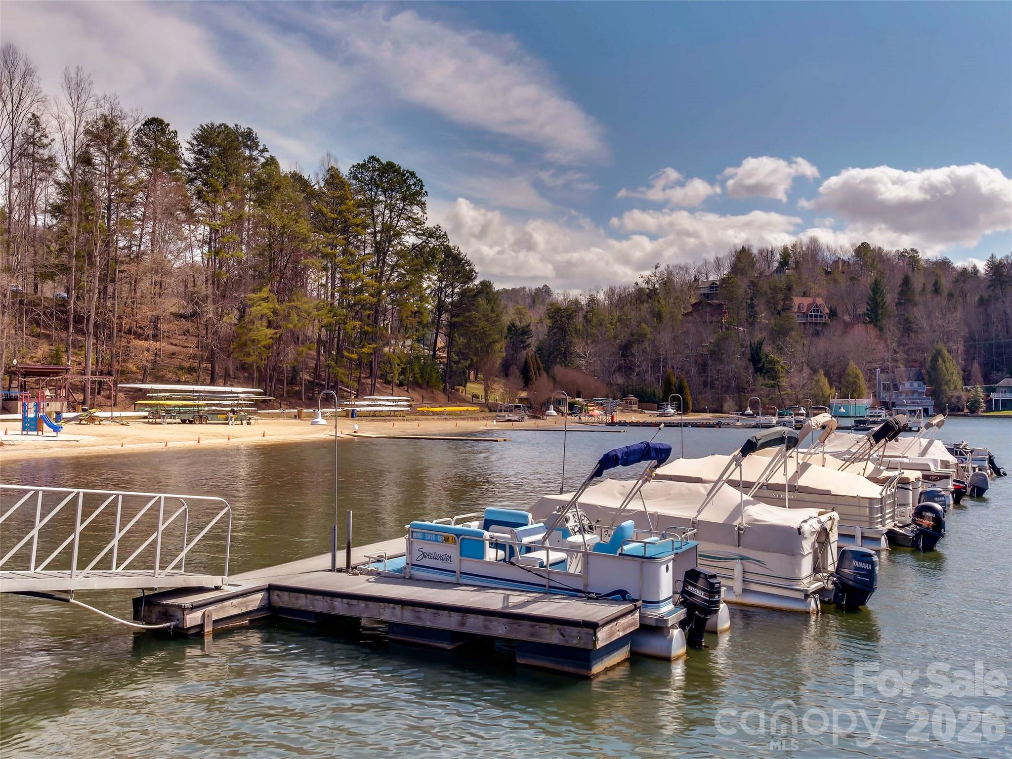 Rumbling Bald on Lake Lure - Land
