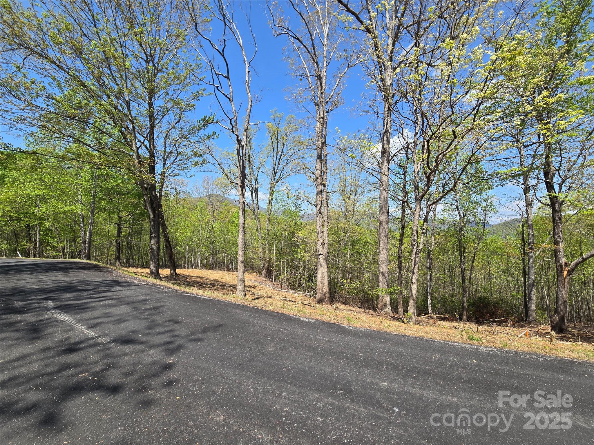 Rumbling Bald on Lake Lure - Land