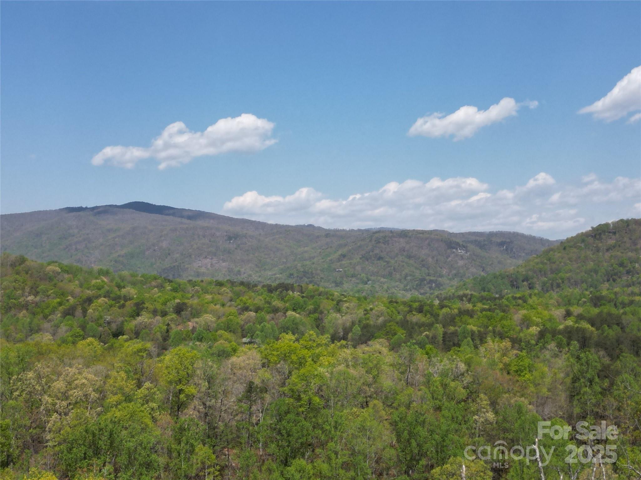 Rumbling Bald on Lake Lure - Land