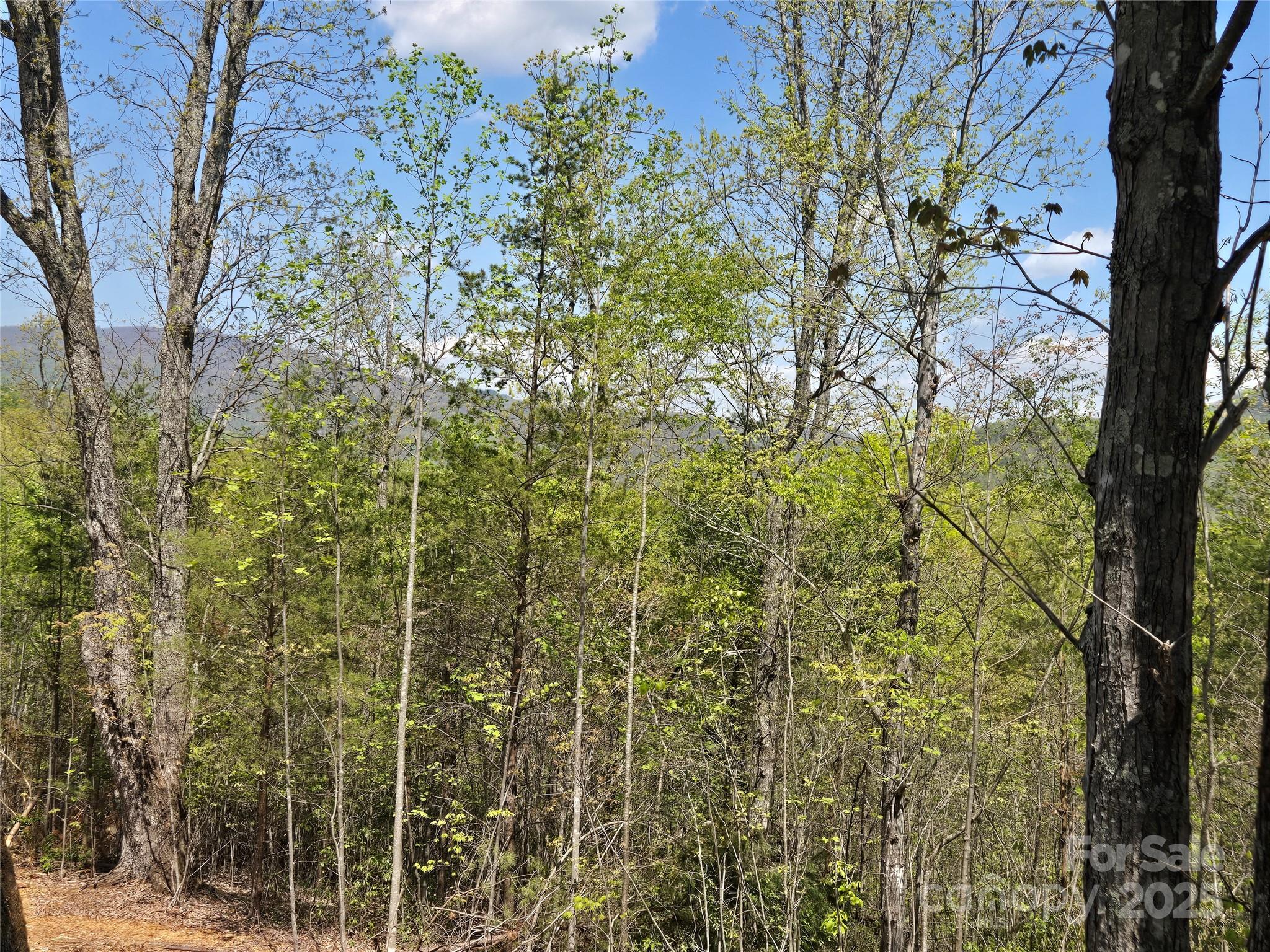 Rumbling Bald on Lake Lure - Land