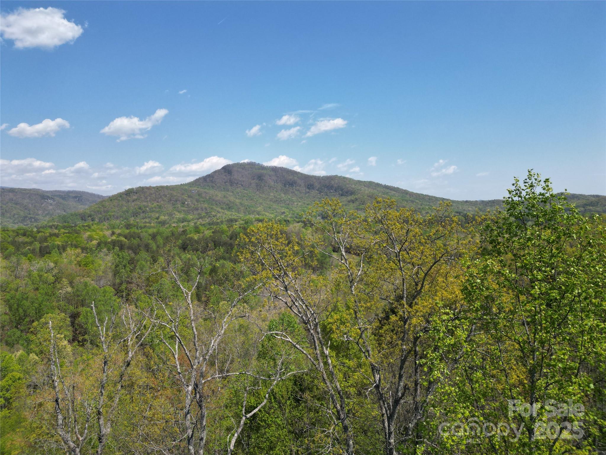 Rumbling Bald on Lake Lure - Land
