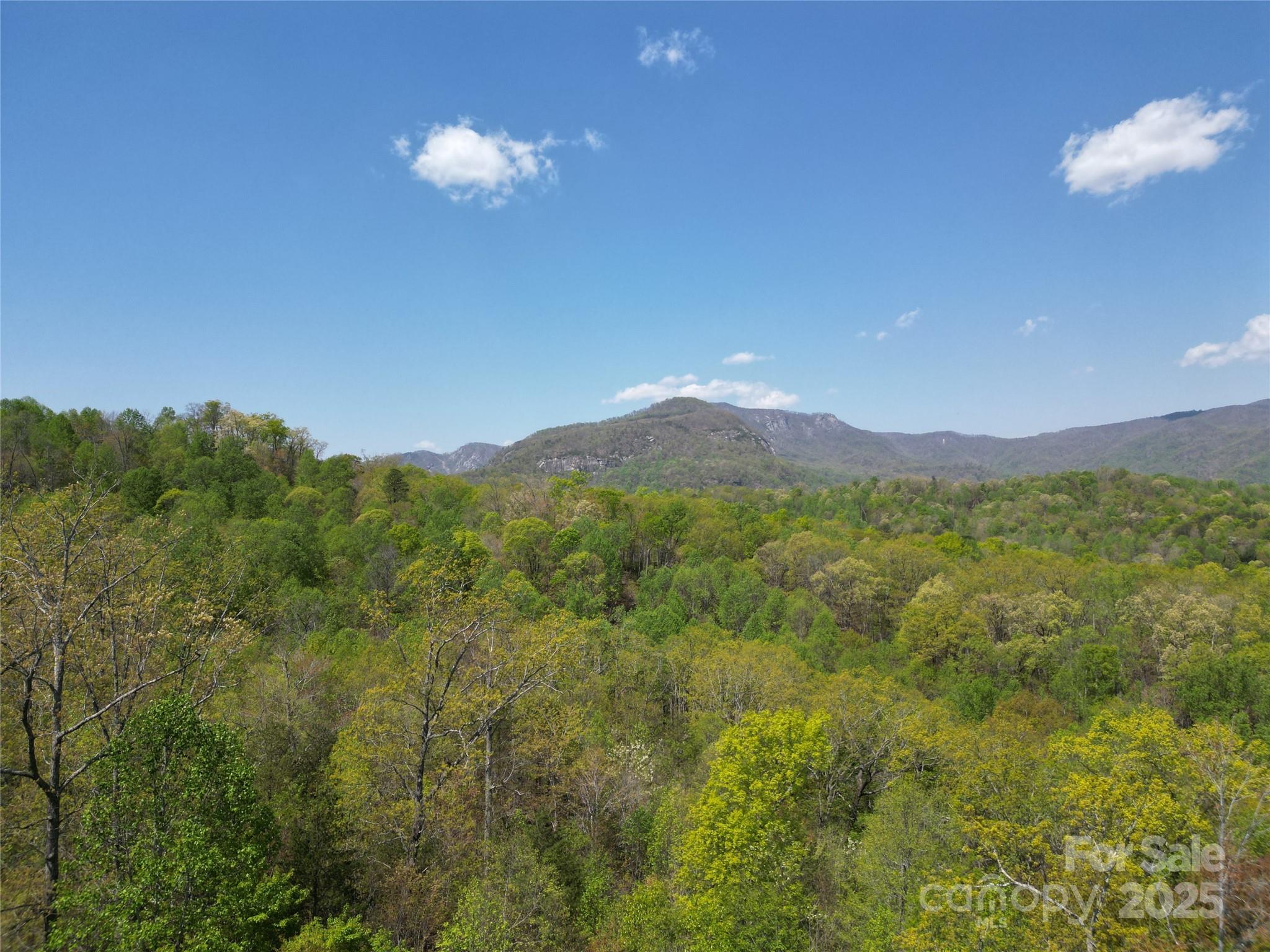 Rumbling Bald on Lake Lure - Land