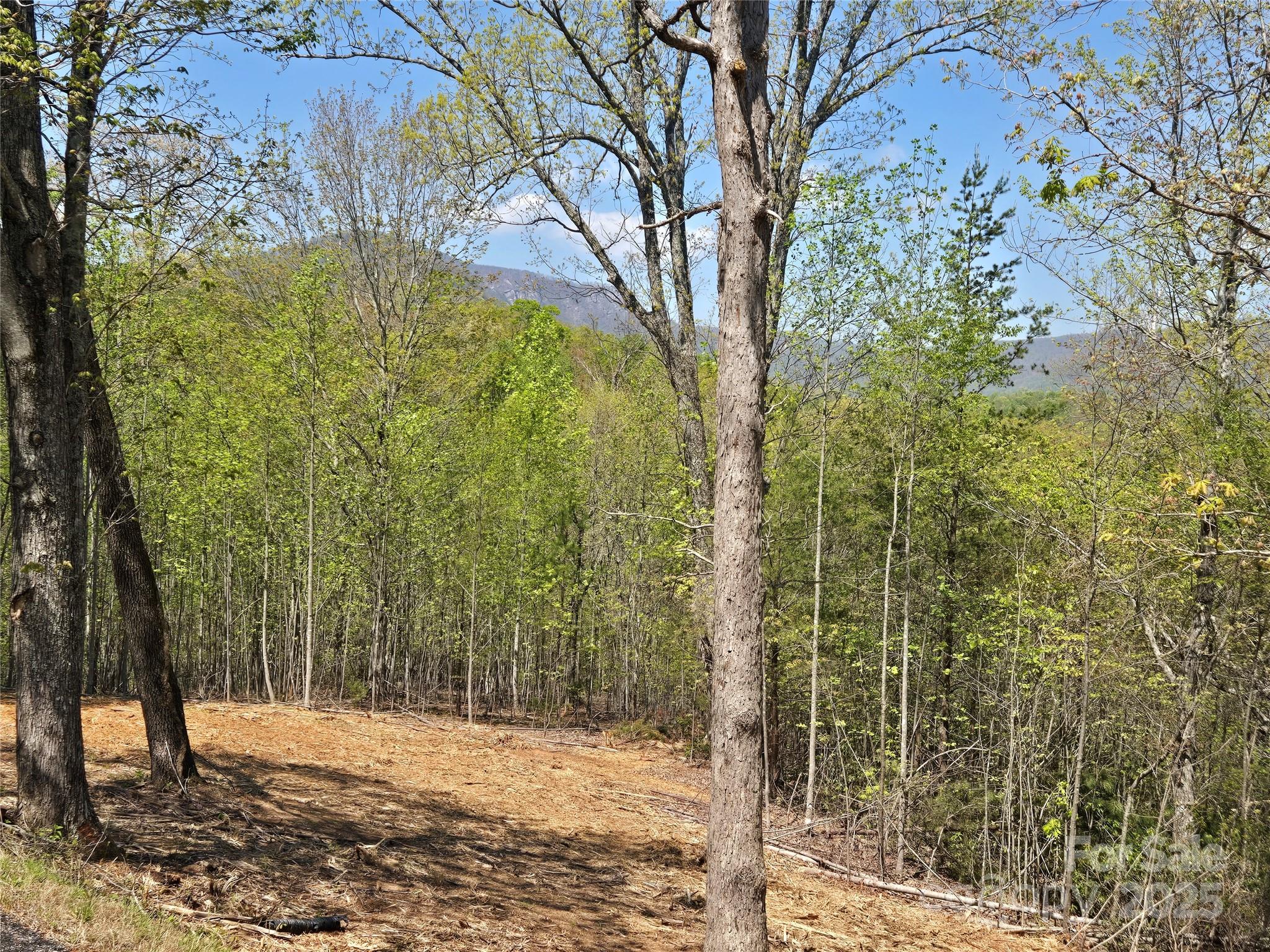 Rumbling Bald on Lake Lure - Land