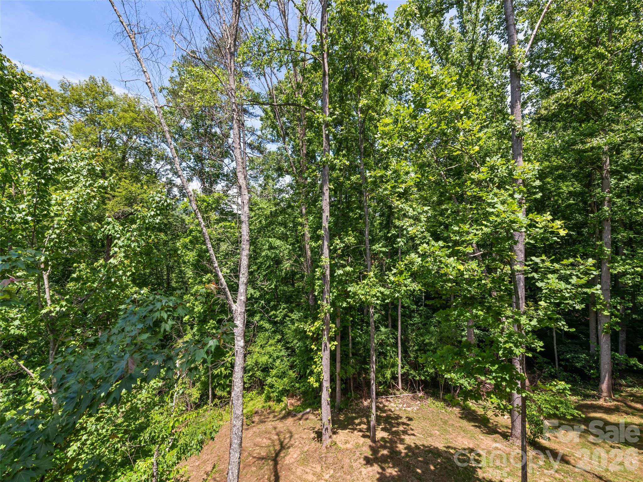 The Ridge At Irontree - Residential