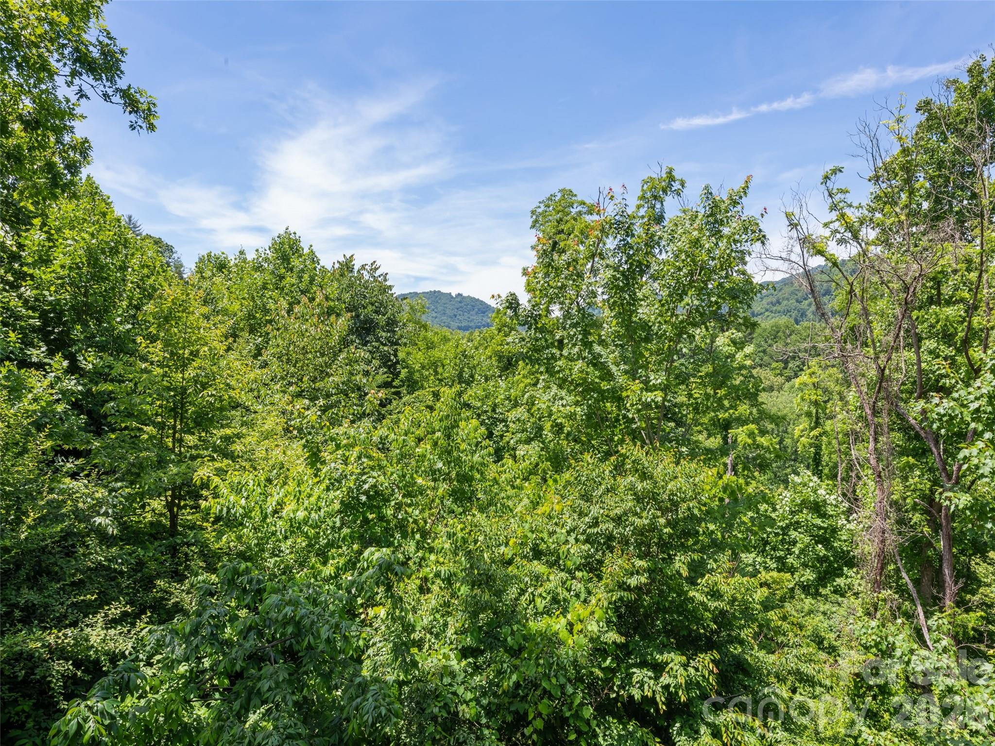 The Ridge At Irontree - Residential