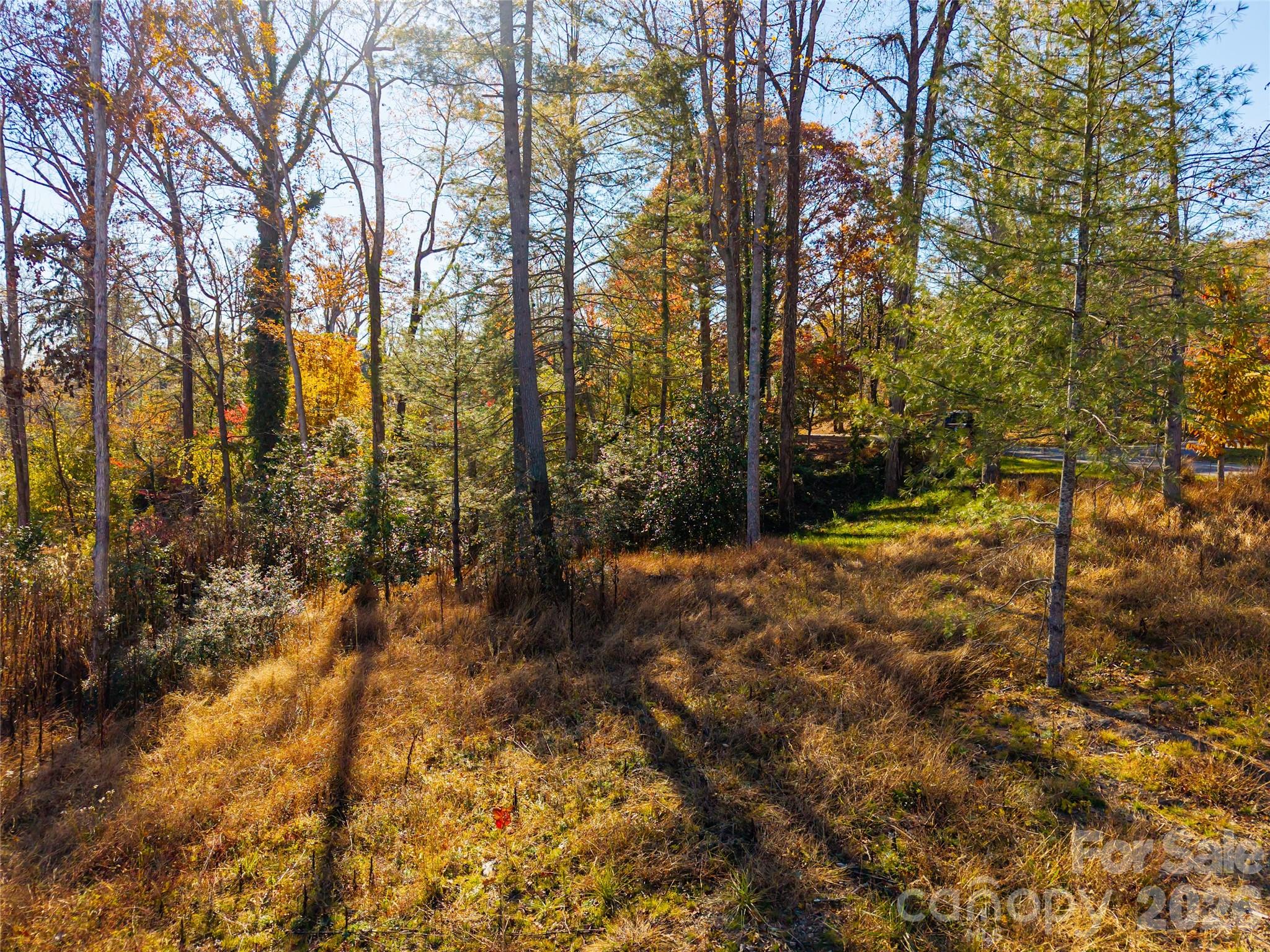 Biltmore Forest - Land