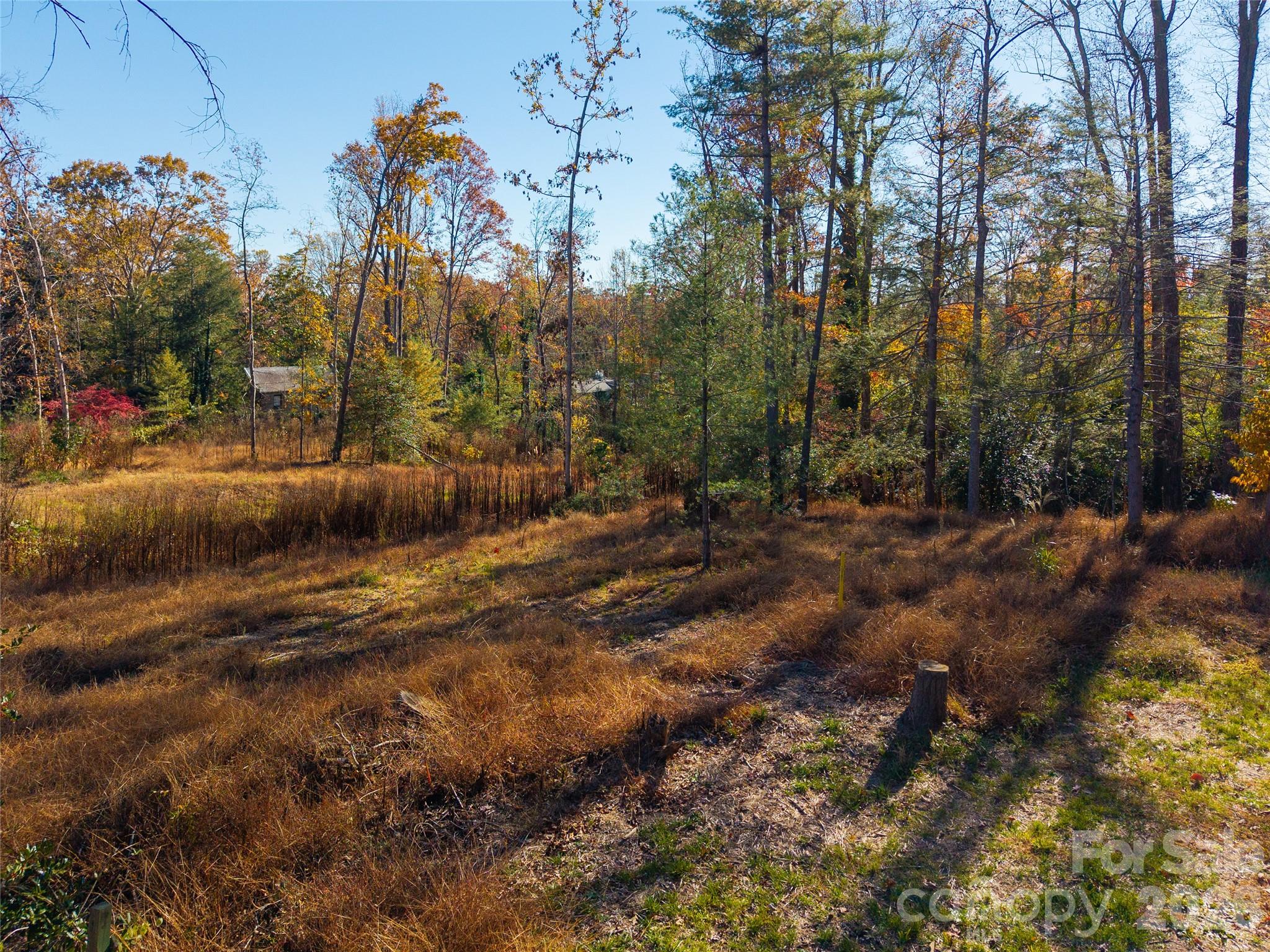 Biltmore Forest - Land