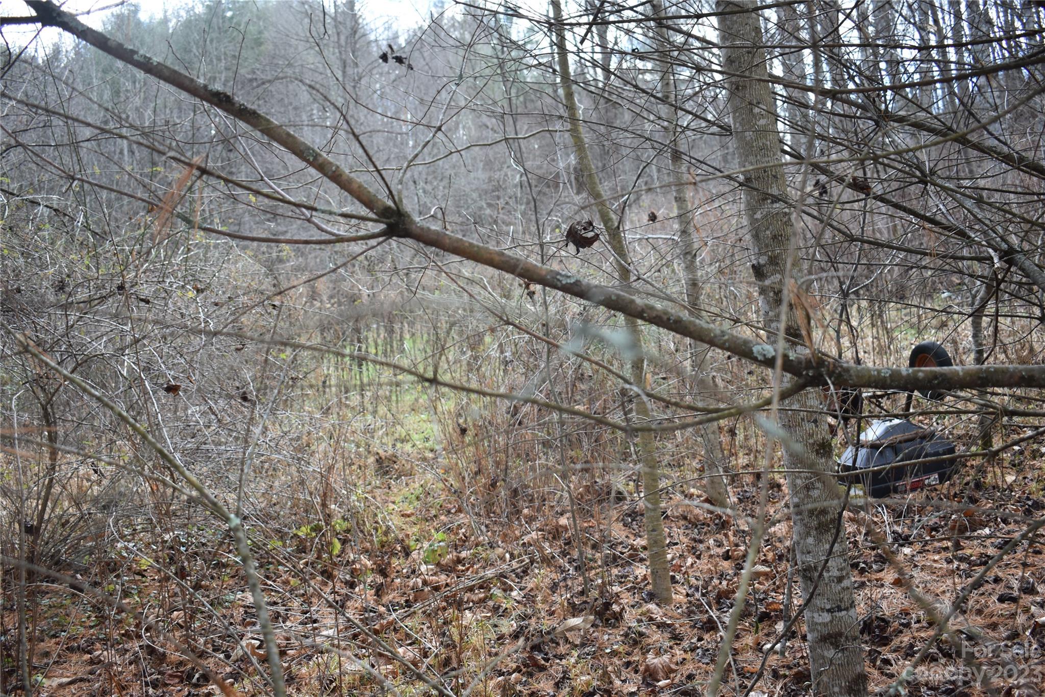 Unrestricted lot, property is level to rolling to steep, has access off Bradford Road, and private gravel roads