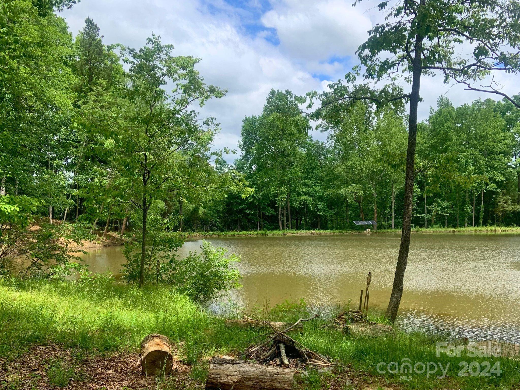 Davidson Pond - Land