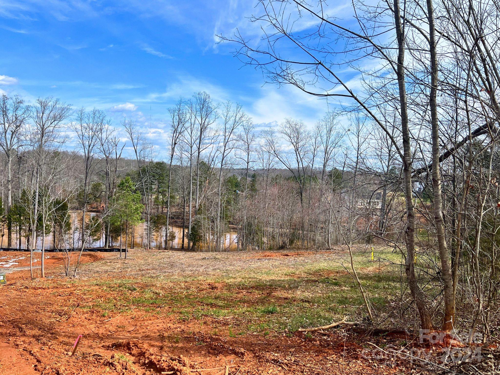 Davidson Pond - Land