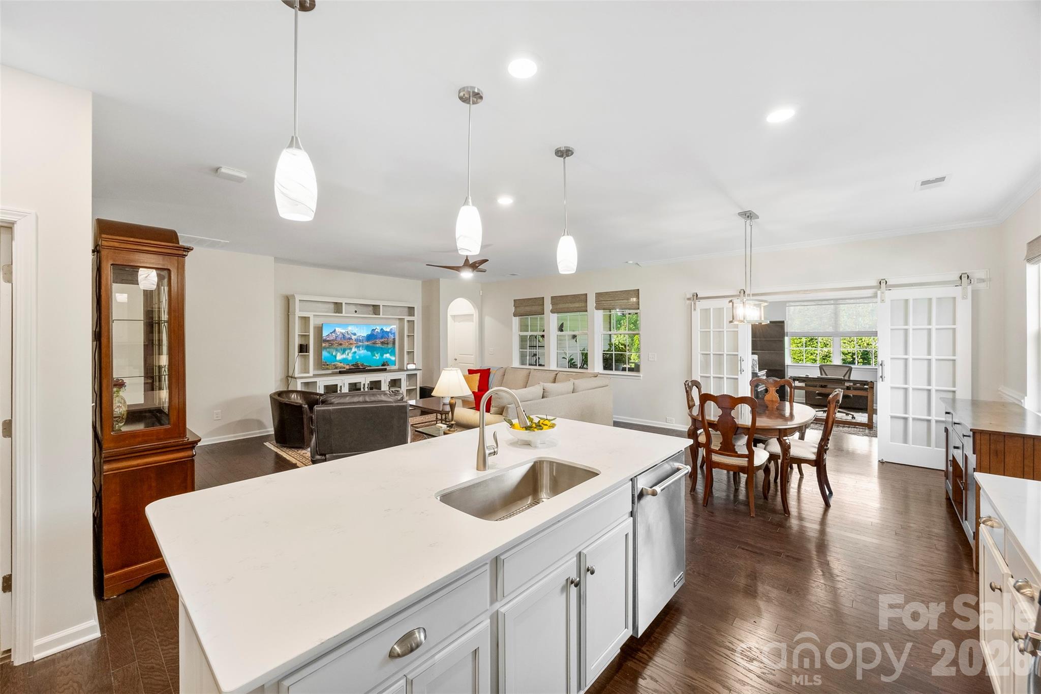Imagery On Mtn Island - Residential