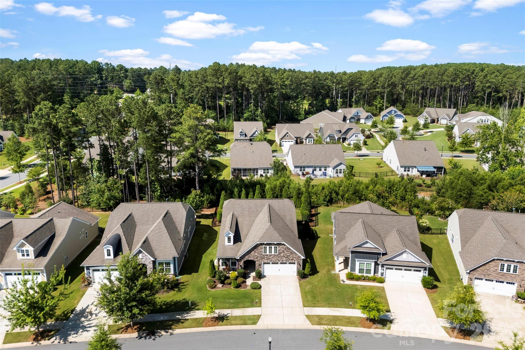 Imagery On Mtn Island - Residential