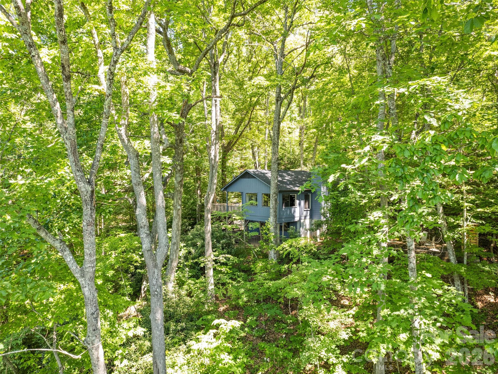 Mountain Chalet - Residential