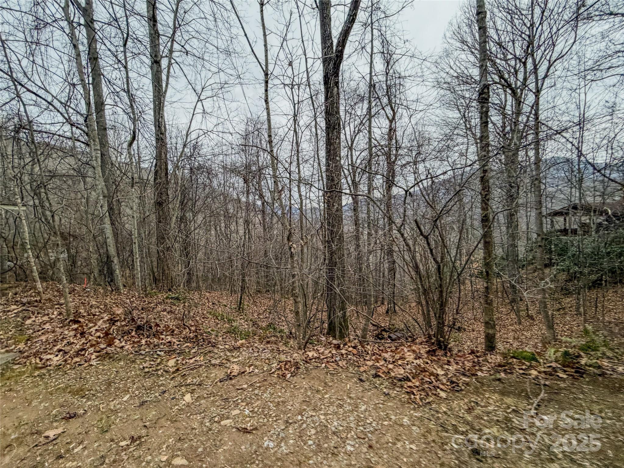 Campbell Woods - Land
