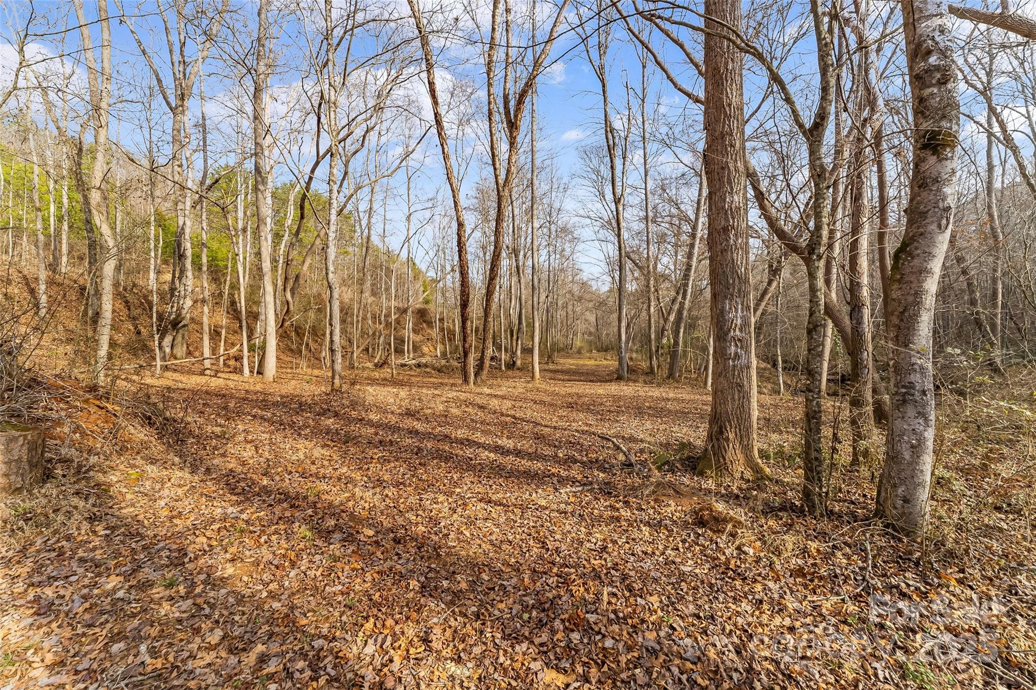Dales Deer Creek - Land