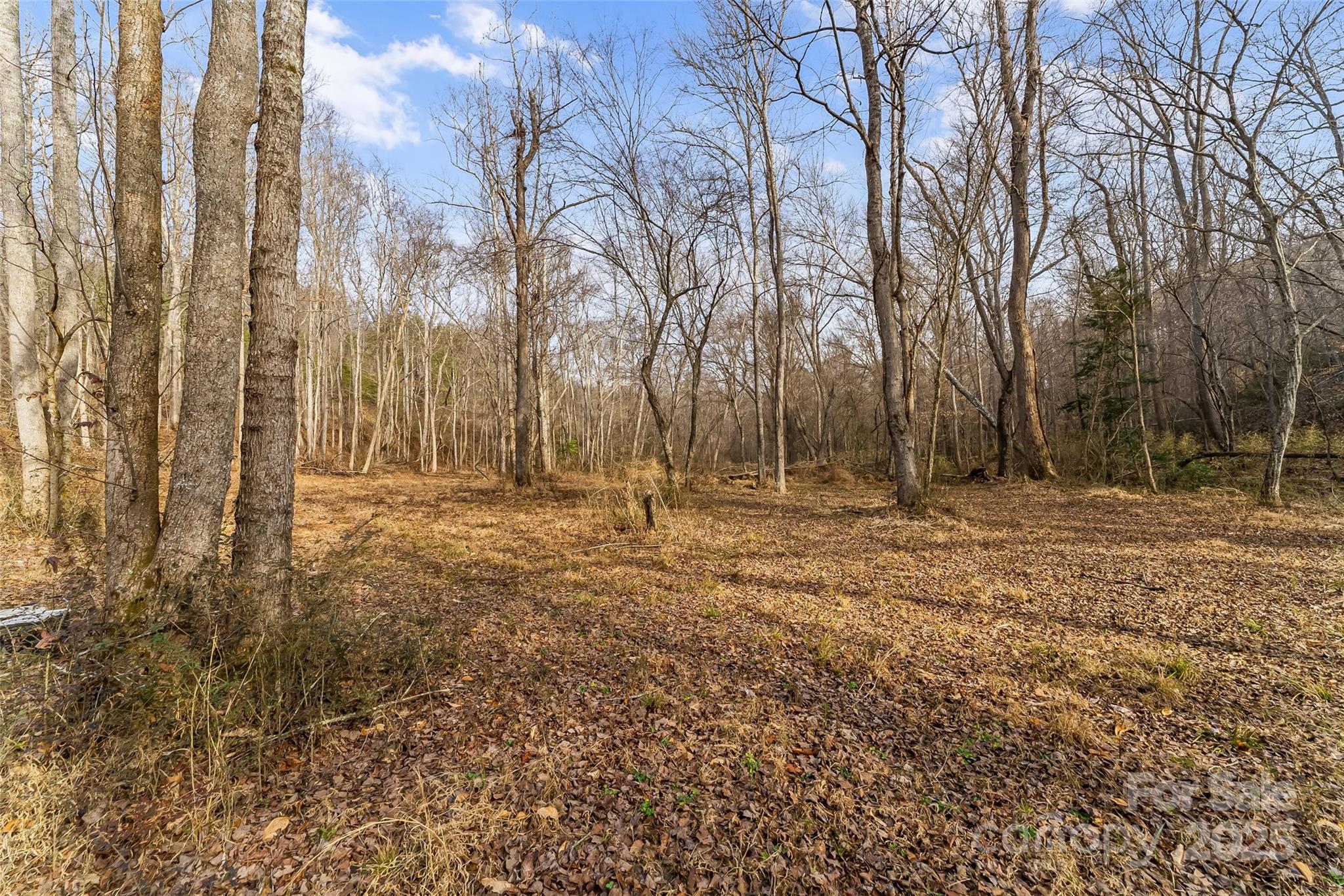 Dales Deer Creek - Land