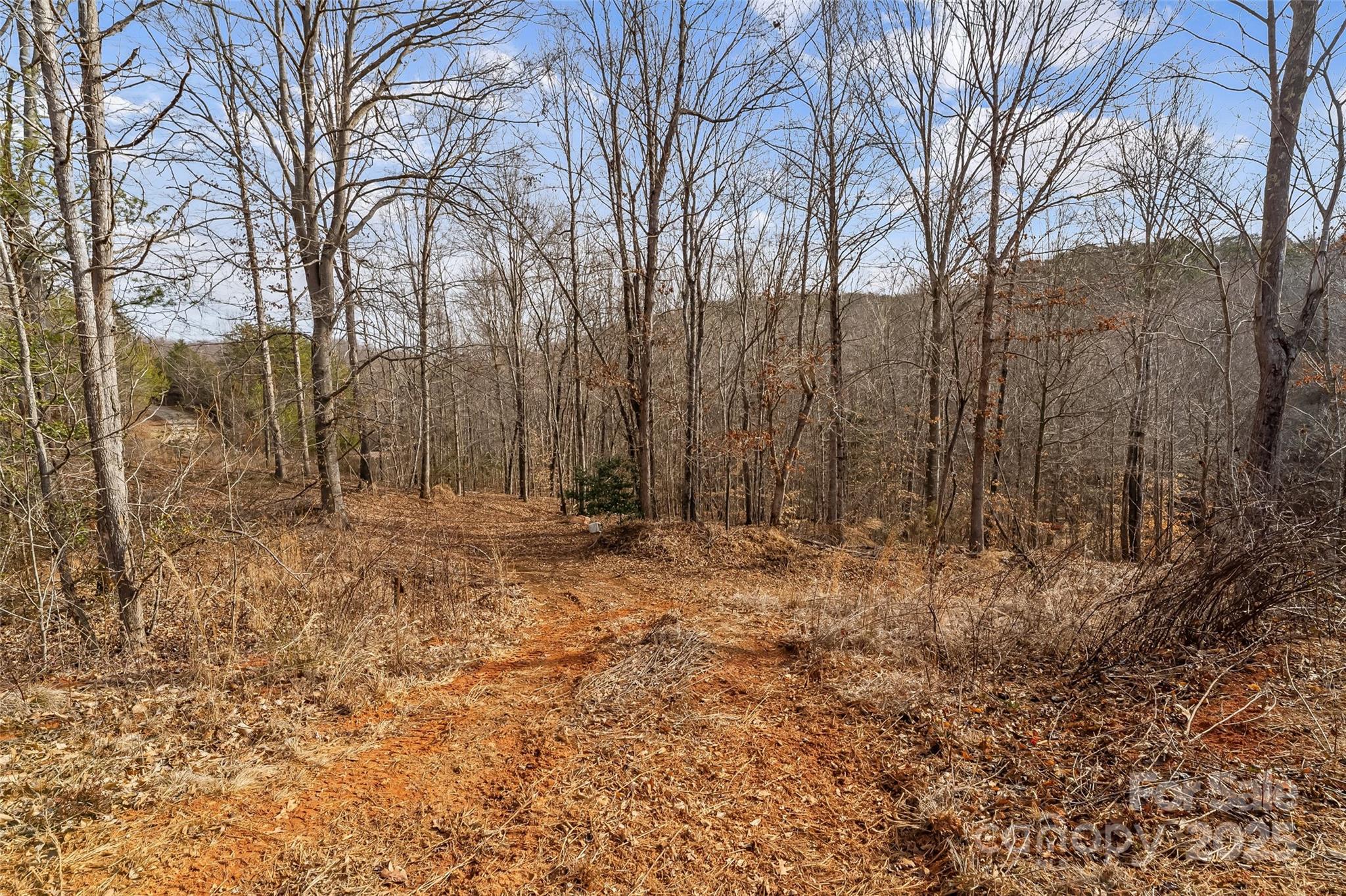 Dales Deer Creek - Land