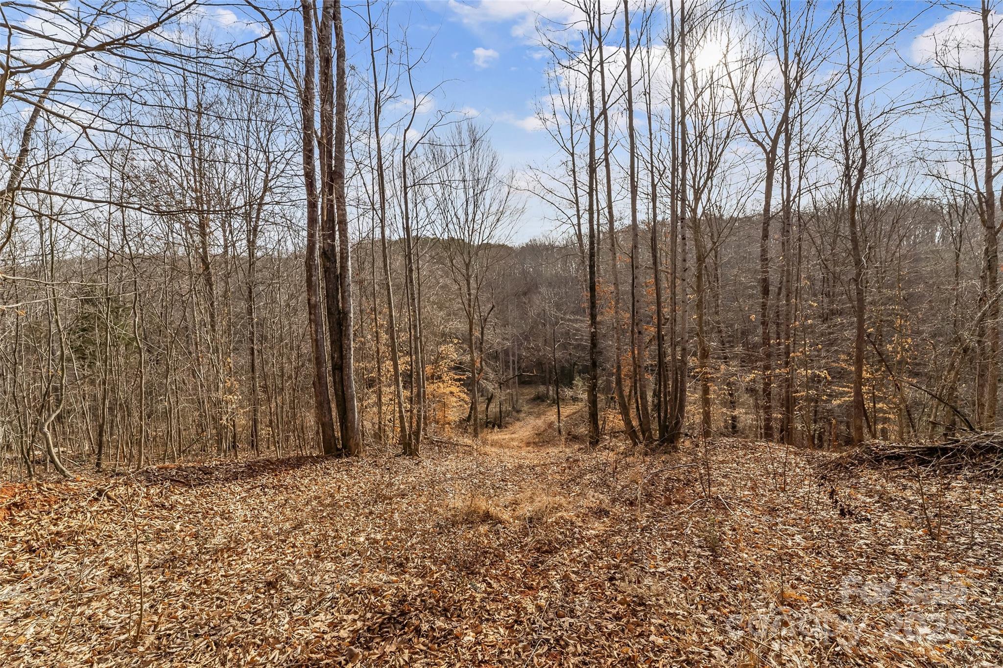Dales Deer Creek - Land