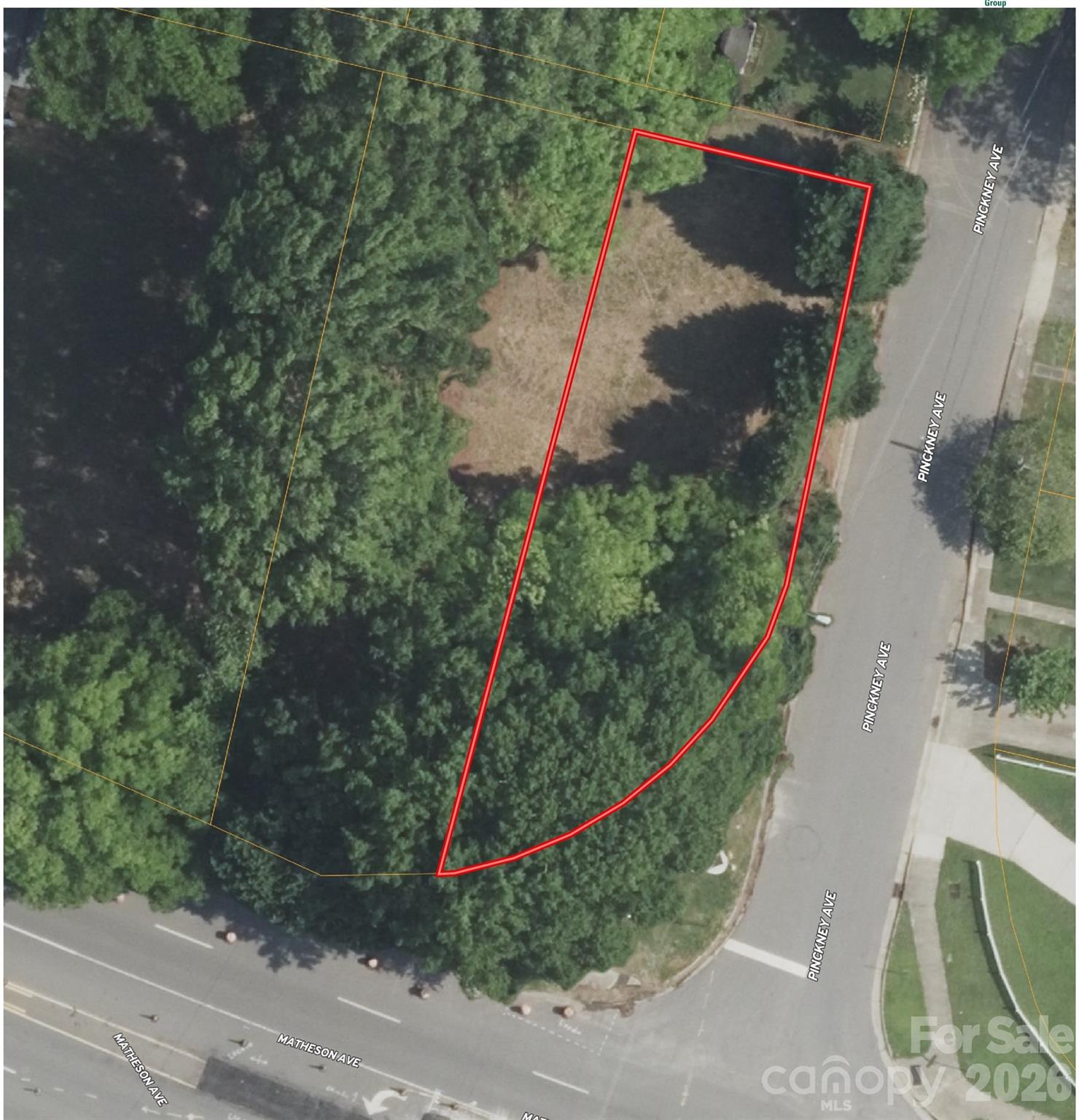 Homesite for sale in NoDa area of Charlotte within walking distance to the light rail station and all the amenities of the NoDa area.  This homesite sits at the corner of Pinckney and Matheson Avenue in popular area of Charlotte where buyer/builders are buying older homes and tearing them down and building beauiful new homes.  This homesite is level and easy to build on.  The lot does have a public alley right of way along the back of the lot for neighboring lots to use.  Per Charlotte Water, water/sewer is available at the street but new owner will have to pay tap fees.  Total combined cost for water/sewer taps is approximately $17,340.  There are 4 additional lots for sale next door.  This is a great opportunity to own a lot in the NoDa area without having to tear down a home to start building.