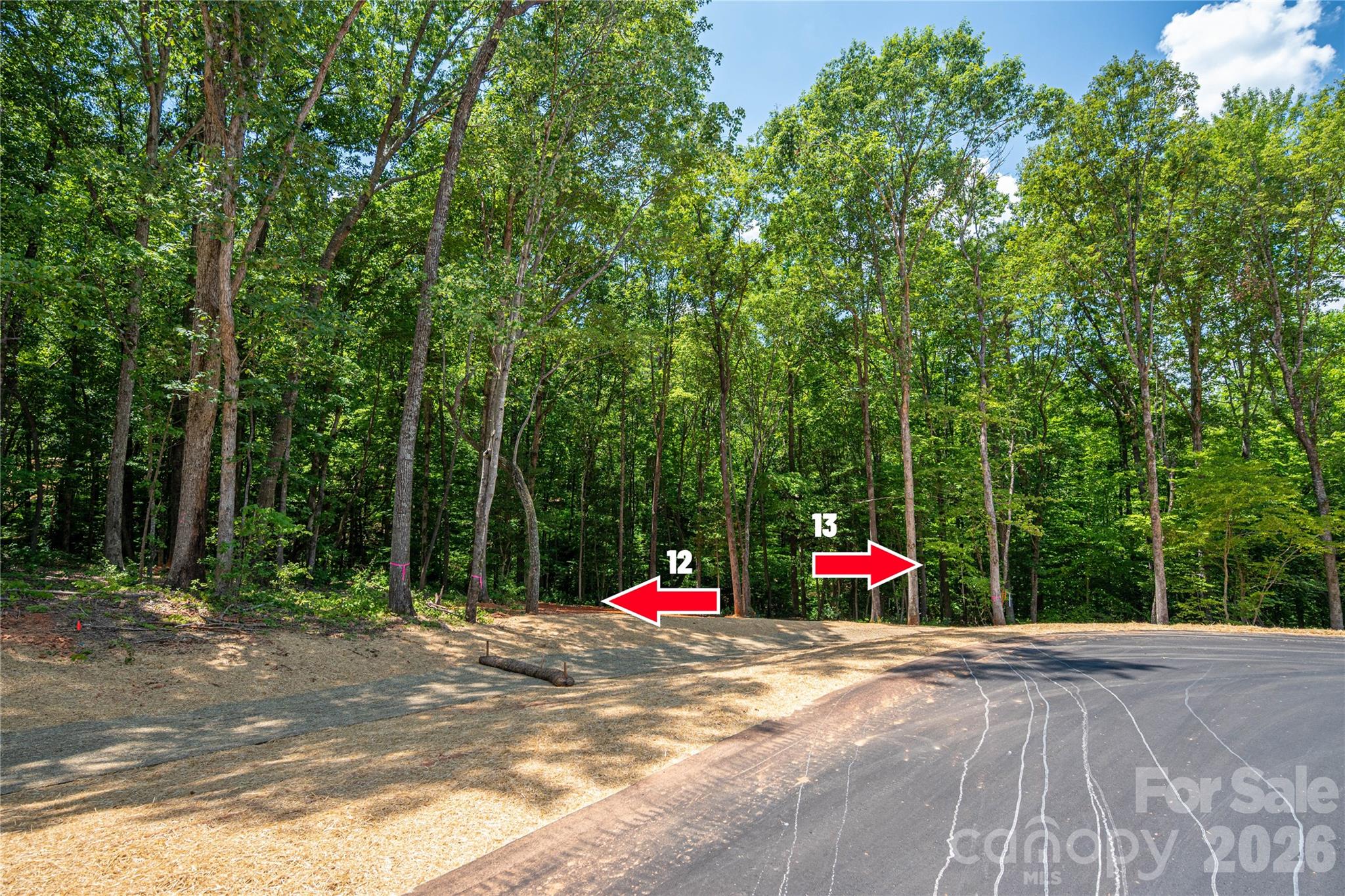 LARGEST LOT in THE PRESERVE AT GRASSY CREEK PHASE 2!  After much anticipation the Preserve at Grassy Creek Phase 2 is ready!  With only 13 wooded lots available ranging from 1 acre to 3.2 acres, privacy abounds in a subdivision where you can get out and walk your dog, soak up the peace found off the beaten path yet be a short drive to anything you desire!  Lot 13 serves as the largest lot in the neighborhood at 3.2 acres, located perfectly at the end of the culdesac on Pineside Drive.  This is way more than just a lot for your home build, it is a place you can play and enjoy nature.  The backside of the property is bordered by a small creek, trees surround and its already been perk tested for a 4 bedroom home.  What are you waiting for?  This type lot in the Denver area is hard to find.  Don't miss this one!  The Preserve at Grassy Creek- Phase 2 (Denver, NC) is located about 30 minutes from Charlotte Douglas Airport, 40 minutes from downtown Charlotte and just minutes from shopping, restaurants, breweries, doctors offices and of course coffee shops!  Also to note a new gas station is coming soon to Hwy 16/150 intersection as well so it will be easy to fill up on your way to Hwy 150 or when you jump on new Hwy 16 to shoot to Charlotte.  This area is booming, don't delay and schedule a private tour today!  

Underground utilities will be installed soon.  Minimum 1800 sq ft to build.