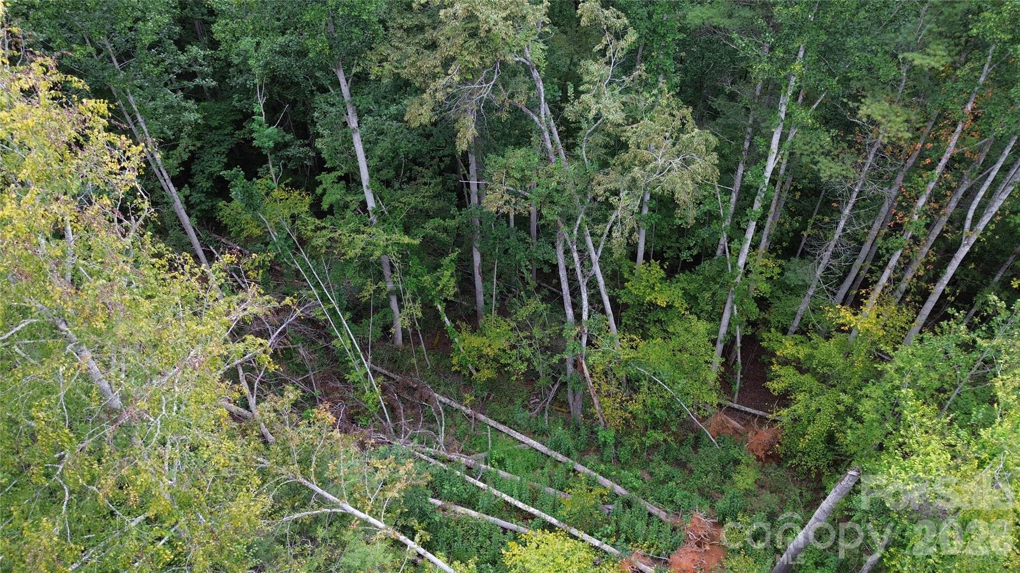 River Crest - Land