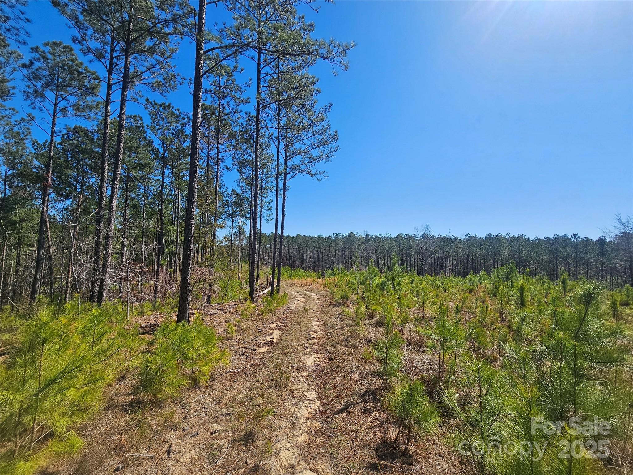 none - Residential