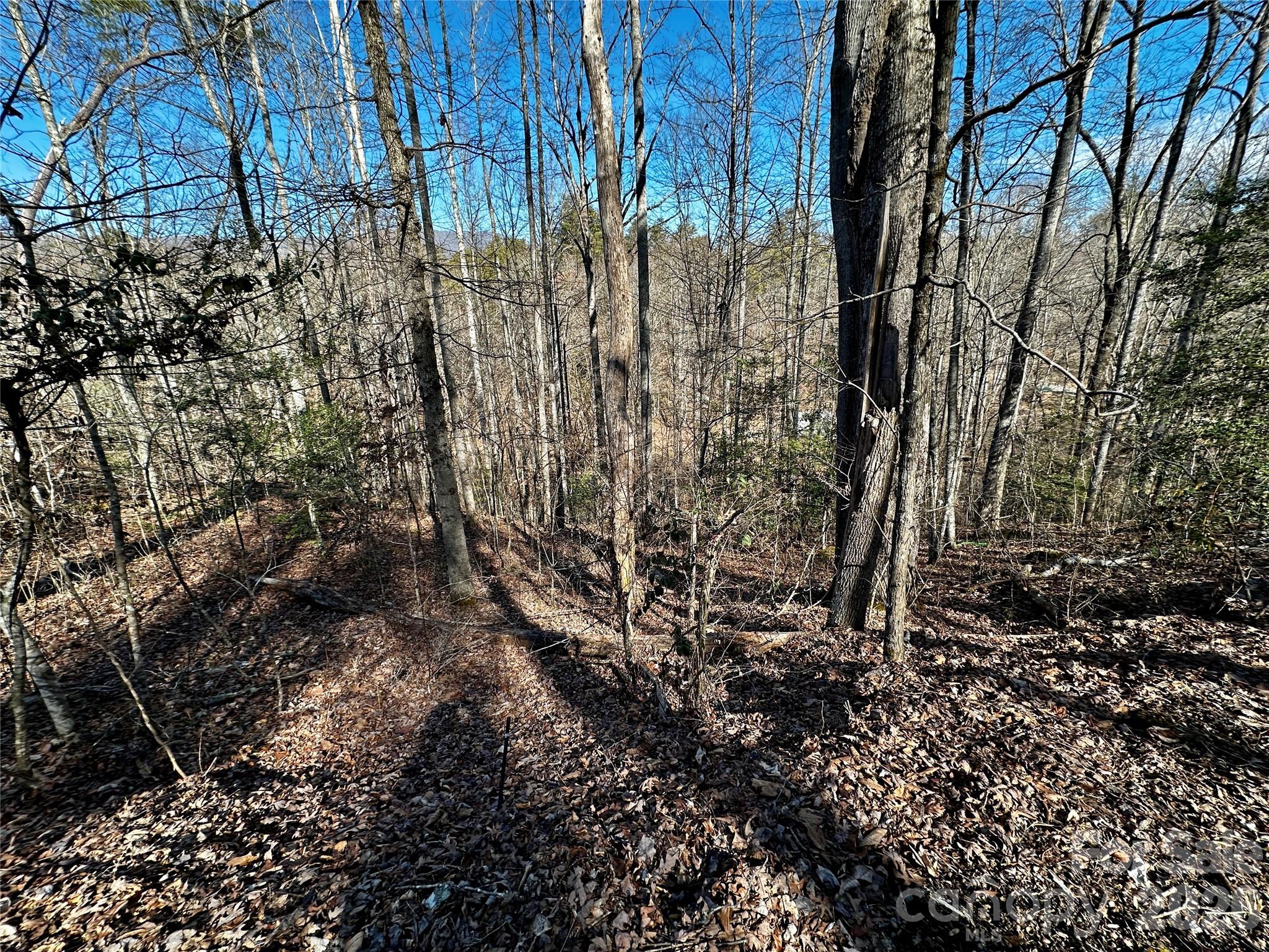 This lot offers the perfect balance of peaceful mountain living and convenient access to area attractions. Located just a few miles from both Cherokee and Bryson City, NC, you’ll be close to dining, outdoor adventures, and all the charm Western North Carolina has to offer—while still enjoying the quiet of a mountain setting. This lot features common-sense restrictions with a minimum build size of just 600 square feet, giving you flexibility whether you’re planning a cozy mountain cabin, vacation getaway, or full-time residence. Water connection available.