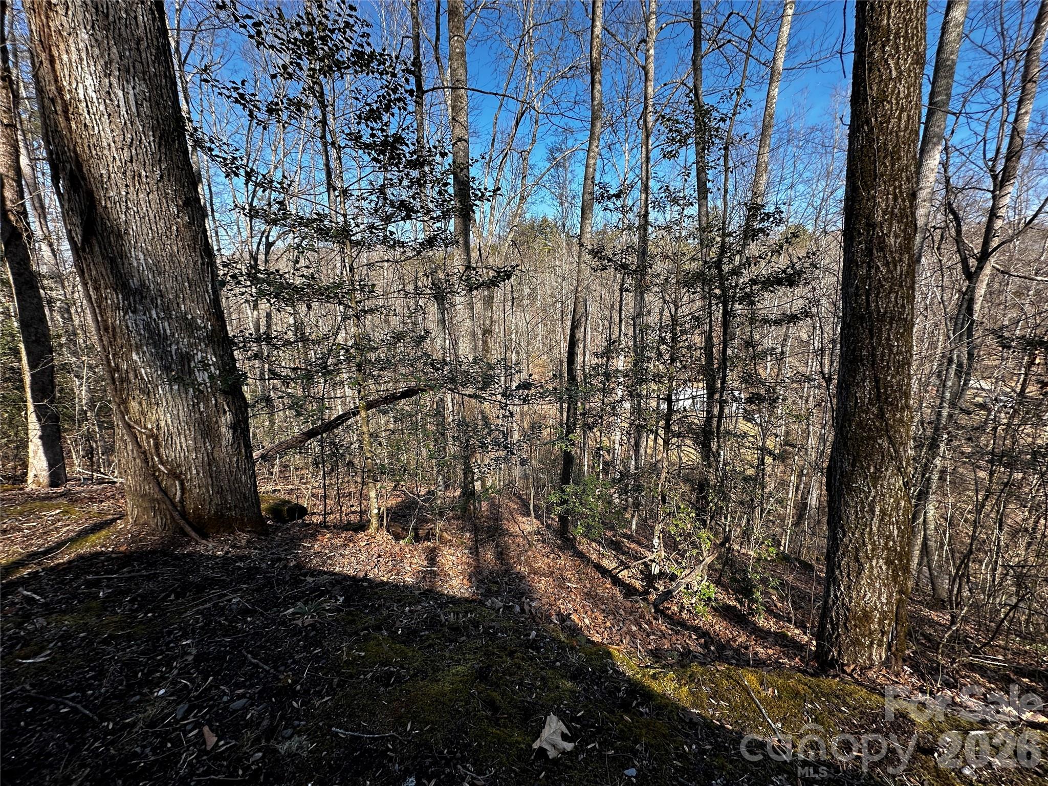 Blue Mist Mountain Estates - Land