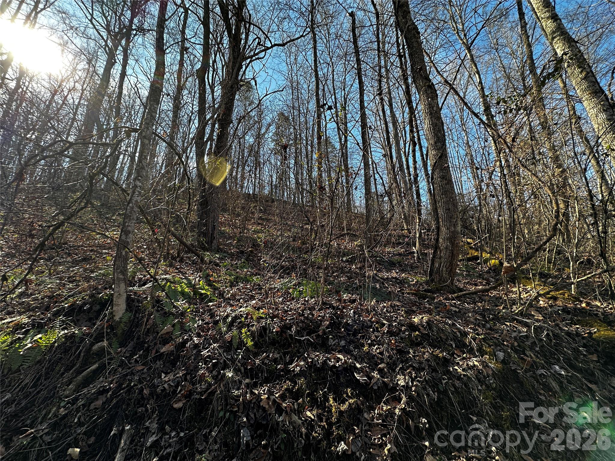 Blue Mist Mountain Estates - Land