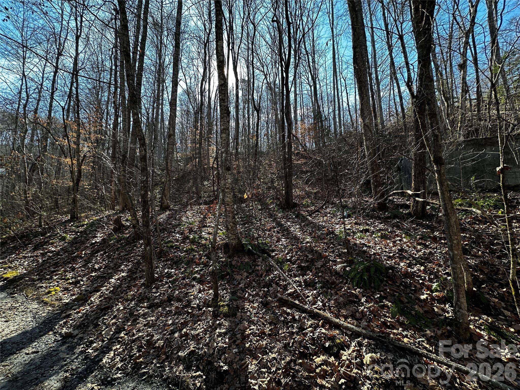 Blue Mist Mountain Estates - Land