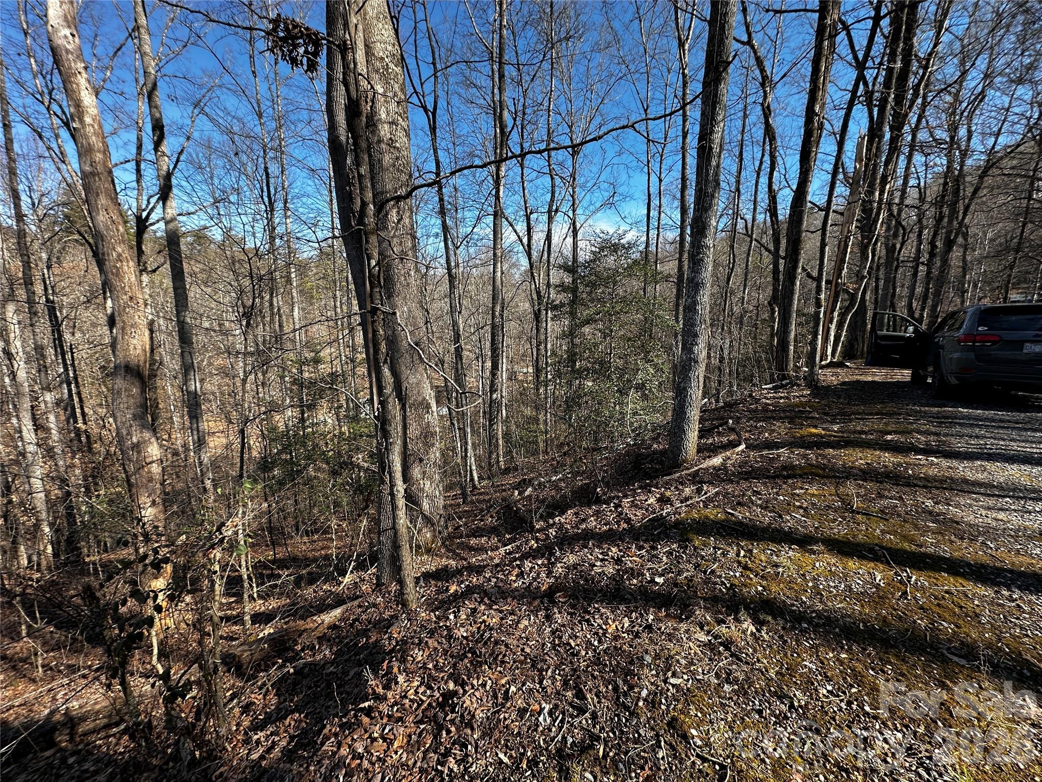Blue Mist Mountain Estates - Land