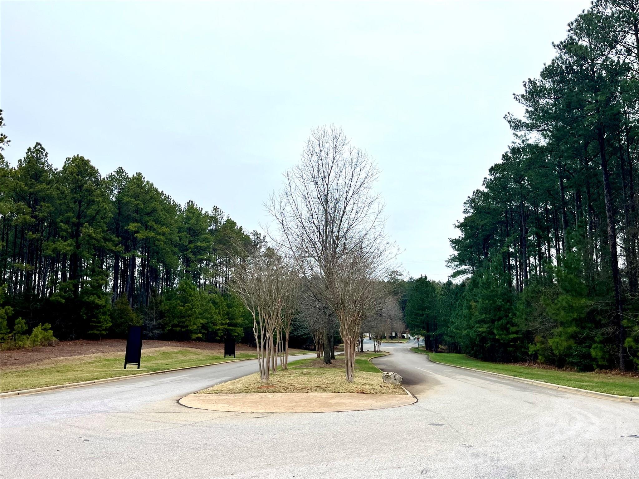 Riverchase Estates - Land