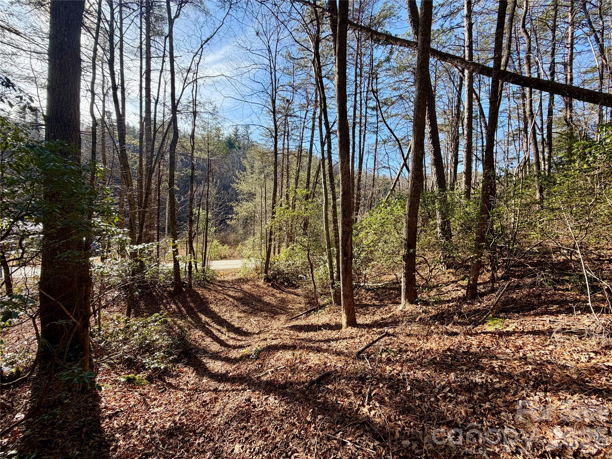 Oak Laurel - Land