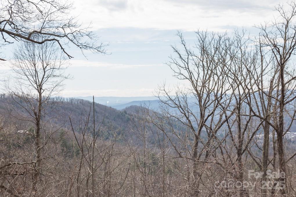 Wildcat Cliffs - Land