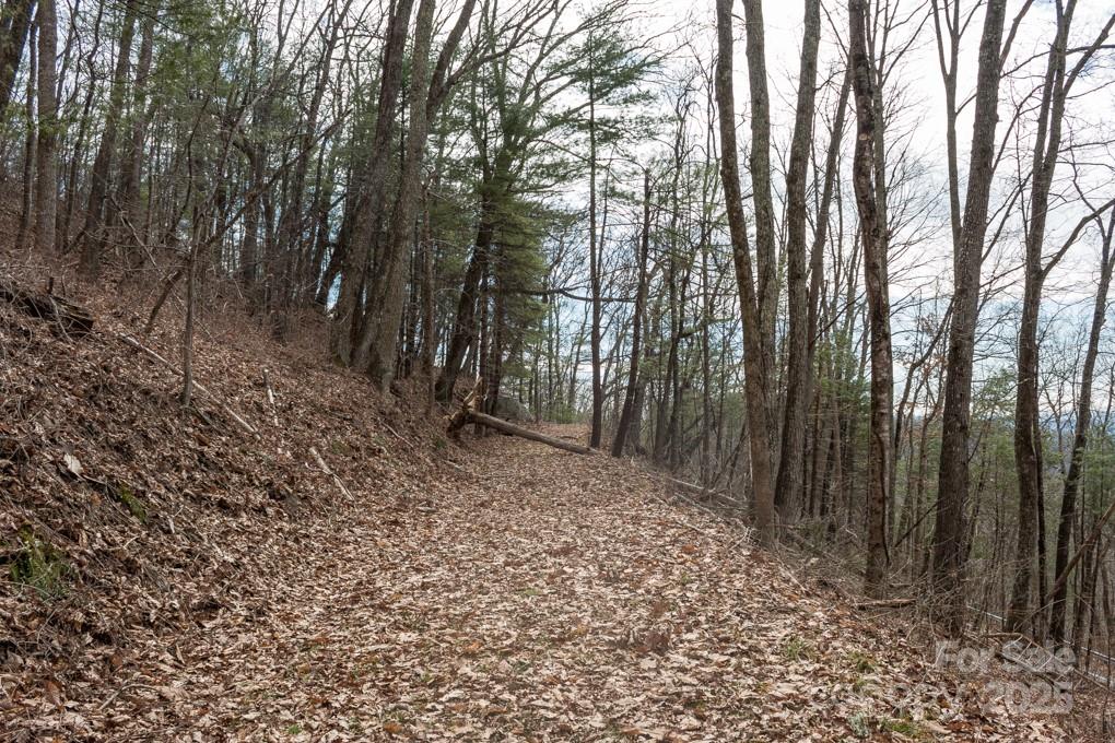 Wildcat Cliffs - Land