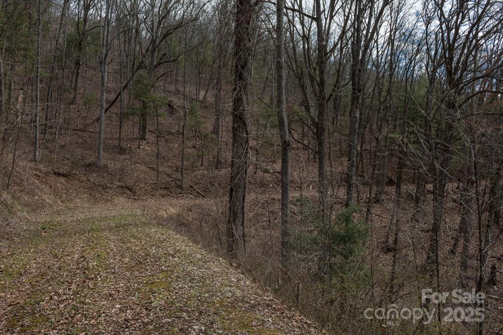 Wildcat Cliffs - Land