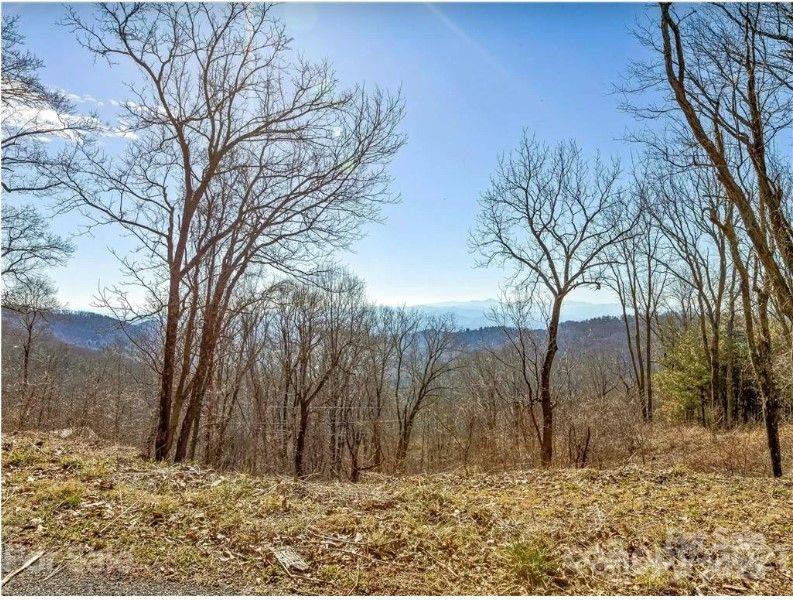 Wildcat Cliffs - Land